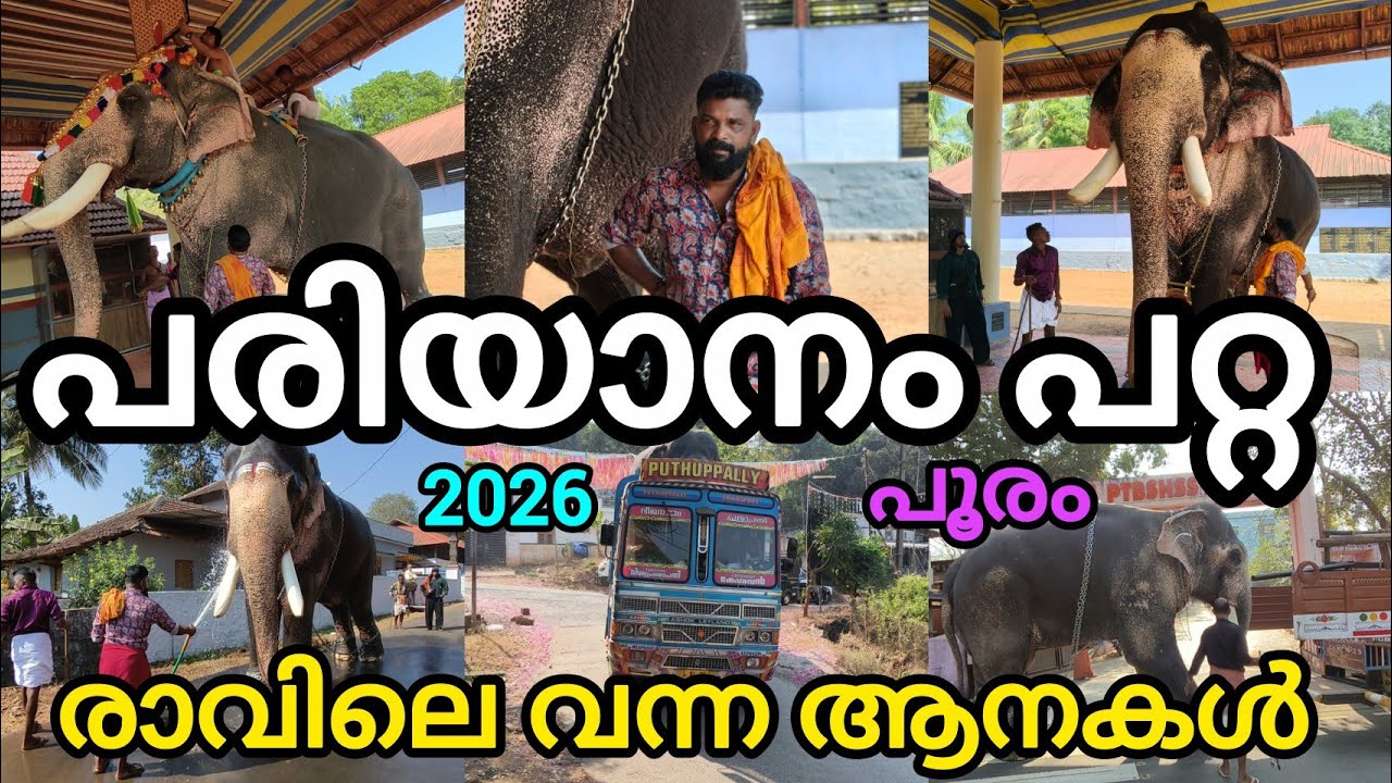 പരിയാനംപറ്റ പൂരം 2026 രാവിലെ വന്നിറങ്ങിയ ആനകൾ പുതുപ്പള്ളി കേശവൻ പുതുപ്പള്ളി സാധു ചിറക്കര ശ്രീറാം
