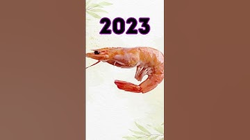 2023 Shrimp vs 5000 bce Shrimp