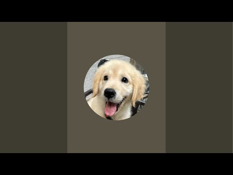 ささら がライブ配信中！