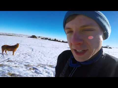 Getting Intimate with South Dakota's Feral Horses - Getting Intimate with South Dakota's Feral Horses