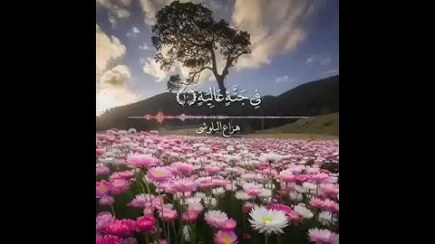 هزاع البلوشي 🎧♥️, حالات وأتس اب دينية, مقاطع أنستقرام أسلامية, مقاطع دينية قصيرة, قصص أيمو فيس بوك