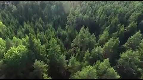 👆🏻آيات عظيمة من سورة الزمر القارئ ليث ابراهيم