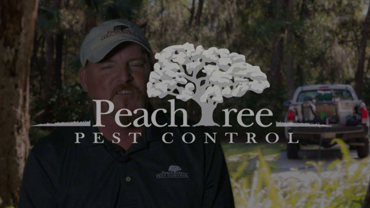 Peachtree Pest Control Covid19 Update YouTube