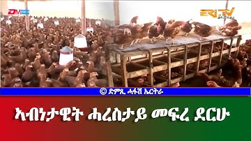 ኣብነታዊት ሓረስታይ: መፍረ ደርሁ - DimTsi Hafash Eritrea/ድምጺ ሓፋሽ ኤርትራ
