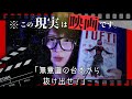タフティ成功者による解説