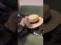 音楽が気になって仕方がないミーアキャット