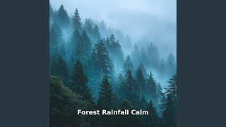 Forest Rainfall Calm Motion, Pt.11