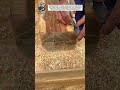 Precision Timber Measuring and Marking | Professional Carpentry Technique