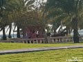 محمود عبد العزيز ناعس الاجفان 