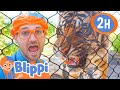 2 hours of blippi animals  best animals for kids  educationals for kids  blippi toys