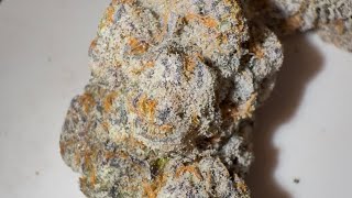 Toasted Strudel Strain Review : StrainAfterStrain Reviews 