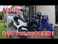 屋根付きPCX の耐久性を紹介