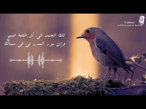 دعوتك ربي .. عبدالعزيزالأحمد