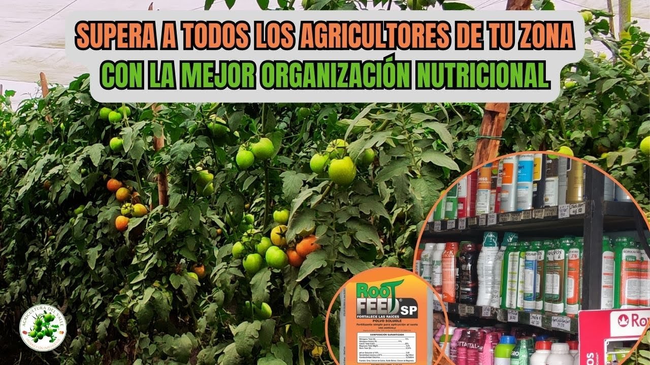 SUPERA A todos los agricultores de tu zona con este truco nutricional