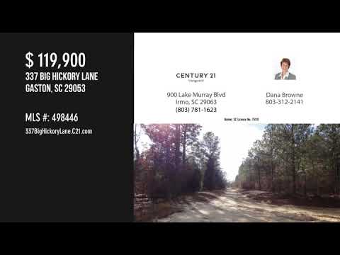 337 Big Hickory Lane, Gaston, SC home video tour