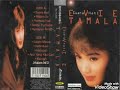 Download Lagu Album Suara Hati Evie Tamala 1998(full album)