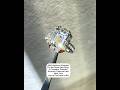 ethically sourced, brilliance straight from New York #ring #rings #engagementring