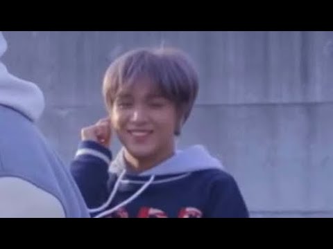 곰돌이가 강아지로 보이는데 정상인가요?