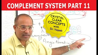 Complement System | Immunology | Part 11/18
