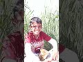 نكت عبود اليمن غير الله يسعد الجميع 
