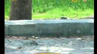 Bahawalpur, the definite part of Saraikistan (PTV report) 1 of 2 screenshot 5