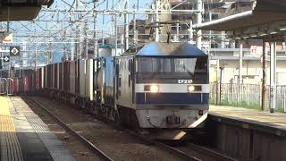 JR貨物 EF210-307号機(吹田)+コキ21両 貨物列車5085レ(約1時間45分遅れ) 2020.07.17