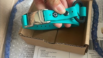 Snap buckle bungee strap for ecollar