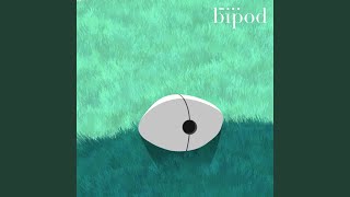 Floating In a Field at Night - bipod