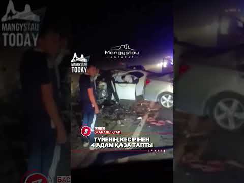 Маңғыстау облысында көлік түйеге соғылып, соның салдарынан төрт адам қаза тапты