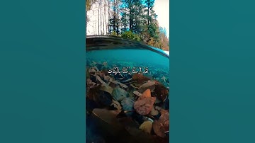 واتس اب قران كريم القارئ شريف مصطفى (سوره الحديد)