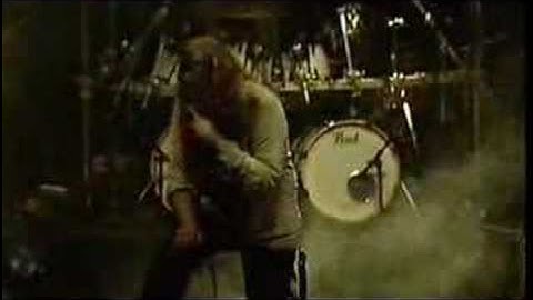 Arcturus - Shipwrecked Frontier Pioneer