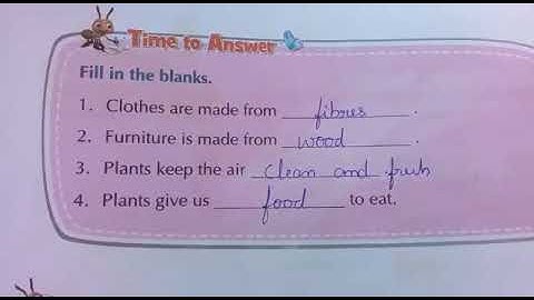 Grade 2 EVS Chapter - 9 Plants Around Us fair notes