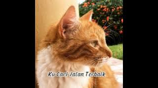 yuni shara - ku cari jalan terbaik speed up