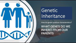 What Genes Do We Inherit from Our Parents? | Genetic Inheritance Explained
