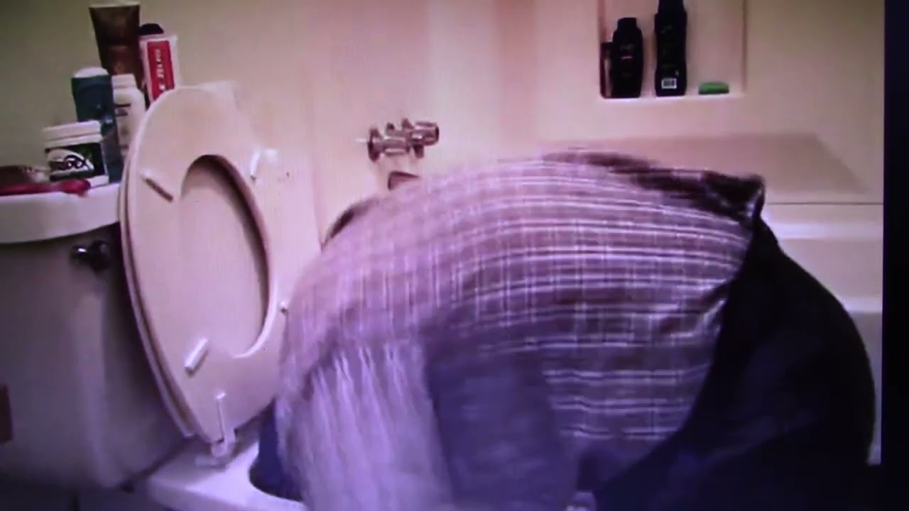 The ULTIMATE Dare Challenge! Flushing Myself Down The Toilet - YouTube
