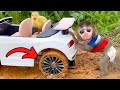 Baby monkey chu chu drives car that gets bogged and swims with a duck baby in a swimming pool