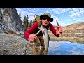 Giant trout fishing  solo survival no food no water catch  cook