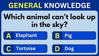 Celebrity general knowledge quiz | mixed quiz | trivia quiz | ultimate quiz #14 Net Worth