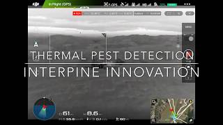 Use of Drones with Thermal / IR Cameras used for Pest Detection