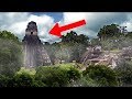Templos Y Pirámides MAS MISTERIOSOS Escondidos En La Selva!