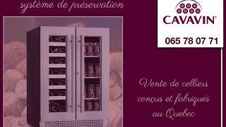 Cavavin2