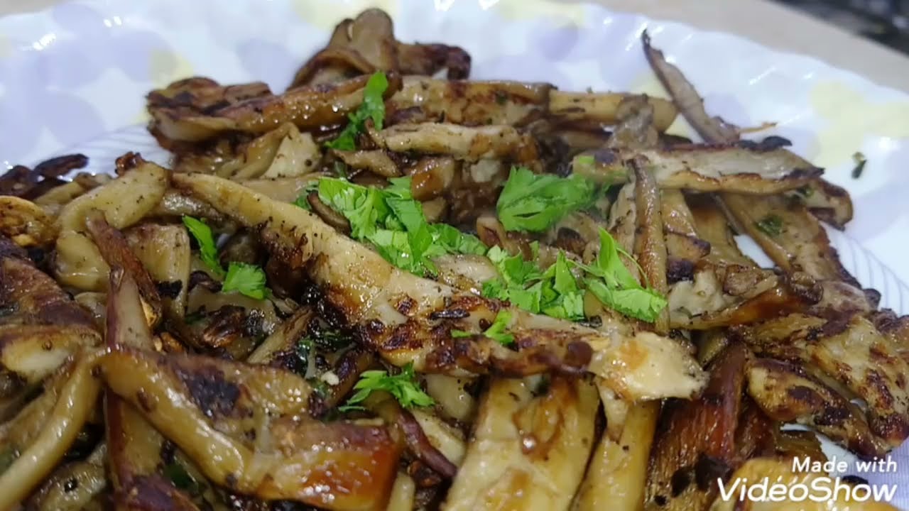 فطر بديل اللحم (المحاري) champignon pleurote