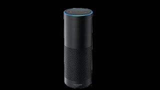Amazon Echo But It Has Tourettes.
