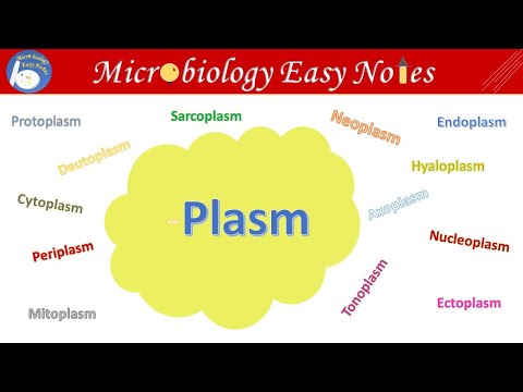 Mitoplasm, Hyaloplasm, Nucleoplasm, Deutoplasm, Axoplasm and more words like this in science