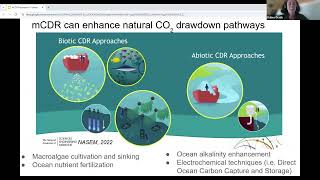Marine Carbon Dioxide Removal: What Fishermen Need to Know