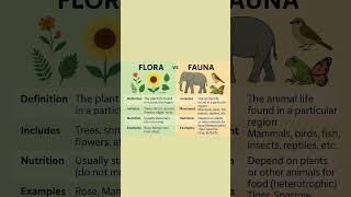 || Flora & Fauna || #flora&fauna #sains #nutrisifloraandfauna #tumbuhan #hewan #videopendek || Flora & Fauna || #flora&fauna #sains #nutrisifloraandfauna #tumbuhan #hewan #videopendek