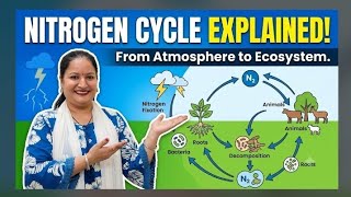 Nitrogen Cycle😲💯🔥#environmentalengineering #disastermanagement#btech#exam #rtuexamquestion#examtips