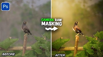 Now You Can Create Complex Masking Using the New Camera Raw 18.0