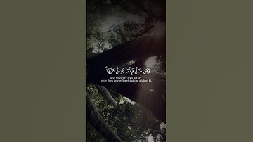 قل يا أيها الناس قد جاءكم الحق من ربكم - سورة يونس - سعد المخيال