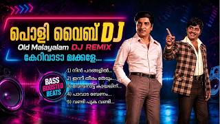 പൊളി വൈബ് DJ // Malayalam Remix Songs